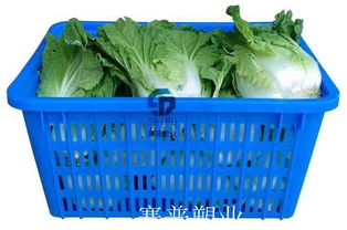 神木收纳筐 680百货网眼筐厂家批发零售价与食品销售应用