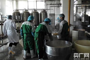 宁夏天人和 从地方特色到中国豆制品样板工厂的跨越